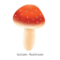 Autumn mushroom collection illustration