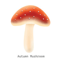 Autumn mushroom collection illustration