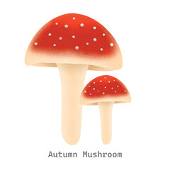 Obraz premium Autumn mushroom collection illustration