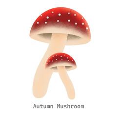 Autumn mushroom collection illustration