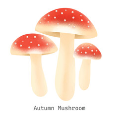 Obraz premium Autumn mushroom collection illustration