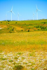 Aéreo turbinas eléctricas en un prado, en un día soleado.