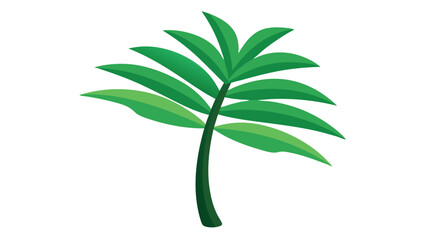 Obraz premium green plant tree leaves isolated on white background