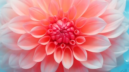A vivid coral dahlia with layered petals and shimmering water droplets, background softly fading into light grey and cool blue, creating a modern, elegant vibe.
