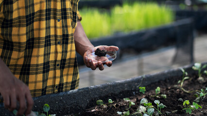 Farmers are carefully inspecting the soil quality to ensure optimal conditions for growing healthy...
