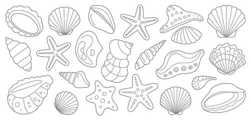 Collection of Seashells and Starfish Line Art Illustrations