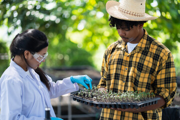 Scientist examining plants on an organic farm while holding research equipment. Conducting quality...