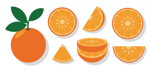 Fresh Oranges Slices and Whole Fruit Illustration