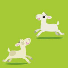 two goats are running happily on the grass on the farm2
