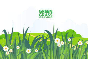 Grass background vector 