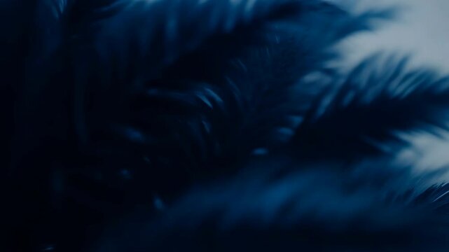 Blue feathers in rich colors on a light background. Immersive abstract visuals transport viewers to a quiet and dreamy atmosphere, evoking a sense of calm.