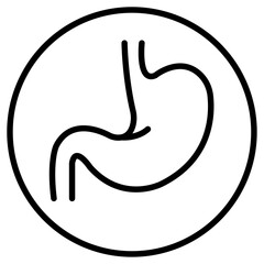 Stomach icon Thin line vector design