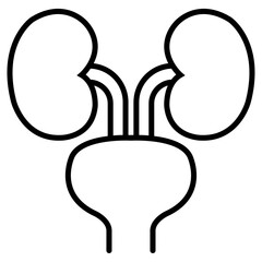 Urinary system icon Thin line vector design