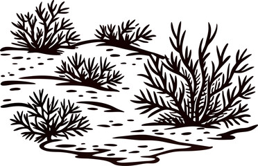 Illustration of desert shrubs on sandy ground in vintage black and white engraved