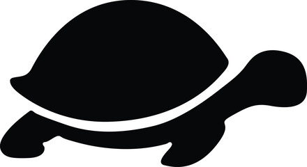 turtle on a white background