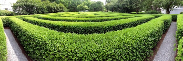 photo of gorgeous hedge maze with green bushes for walls