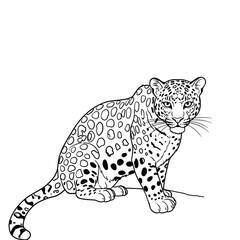 A swift cheetah with a spotted coat, illustrated in a detailed sketch standing in tall grass. The drawing captures the animal's sleek form and natural habitat, ideal for wildlife and nature-themed pro