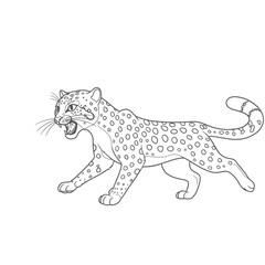 Andean Cat – Leopardus jacobita. Angry leopard roaring while walking in aggressive wild animal illustration. Wildlife concept