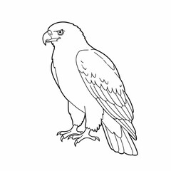 A majestic eagle with sharp talons and spread wings, illustrated in a detailed sketch as if soaring. The drawing captures the bird's powerful presence and natural elegance, suitable for wildlife and n