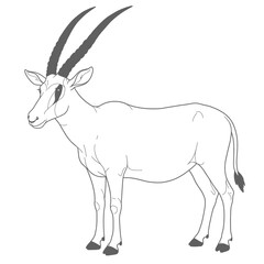 A majestic antelope with large curved horns, illustrated in a detailed sketch standing in a grassy field. The drawing captures the animal's graceful stance and natural surroundings, ideal for wildlife