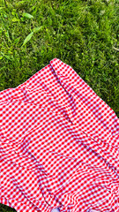 Red checkered picnic blanket on lush green grass in a park setting