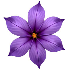 Beautiful flower transparent background