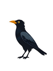Crow icon, Crow vector, Black bird, Raven icon, Flying crow, Crow silhouette, Crow outline, Crow in flight, Perched crow, Cartoon crow, Realistic crow, Crow clipart, Scary bird, Halloween crow, Dark b