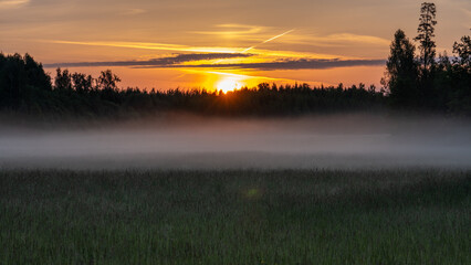 Early Morning Mist with Gentle Sunrise Illuminating Quiet Rural Fields and Trees