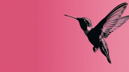 Vibrant hummingbird in flight against a gradient pink backdrop