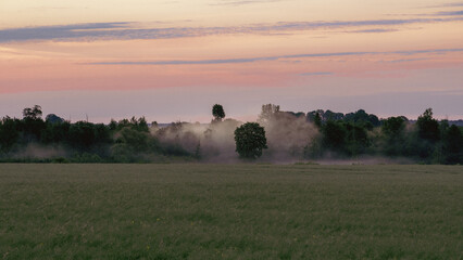 Naklejka premium Serene Misty Landscape at Dusk with Soft Pastel Skies and Quiet Field View