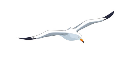 Seagull icon, Seagull vector, Bird icon, Sea bird icon, Flying seagull, Coastal bird, Ocean bird, Beach bird icon, Seagull silhouette, Seagull outline, Flat seagull icon, Minimal seagull icon, Seagull