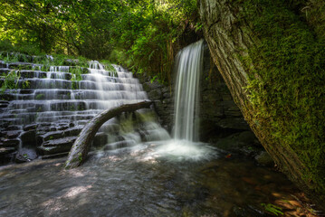 Composition of stepped dam waterfall trunk and moss