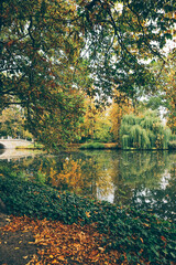 autumn landscape in park with small lake and water reflections 