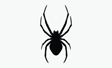 black spider silhouette, halloween decoration, creepy insect vector, Silhouettes of black spider, Halloween decorations, Vector collection of spider 