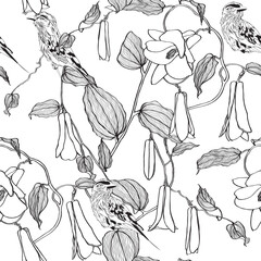 Botanical seamless pattern, various lapageria flowers, lilac breasted Roller bird and leaves.