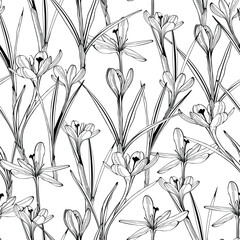 Seamless floral pattern vector outline. Romantic Crocus delicate flowers will suit print on fabric, Wallpaper, wrapper and design.