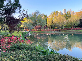Beautiful lake park view in Istanbul, Turkey. 