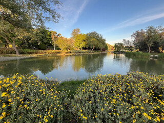 Beautiful lake park view in Istanbul, Turkey. 