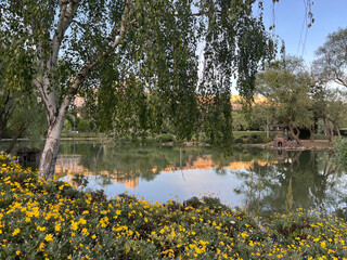 Beautiful lake park view in Istanbul, Turkey. 