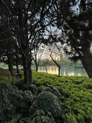 Beautiful lake park view in Istanbul, Turkey. 
