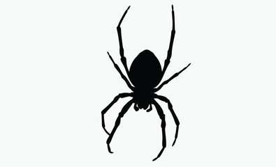 Spider hanging silhouette, halloween web vector, creepy insect icon, Silhouette of a spider hanging from a web, halloween vector 