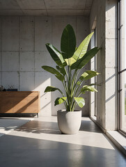 Plants in pots placed on a windowsill inside a cozy decorated room