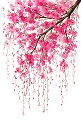 Delicate pink cherry blossoms on a branch with hanging flowers.