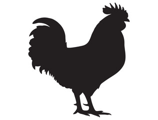 ROOSTER SILHOUETTE