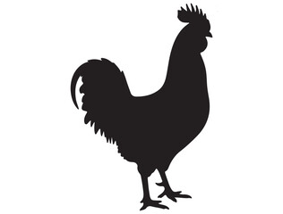 ROOSTER SILHOUETTE