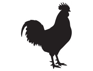 ROOSTER SILHOUETTE