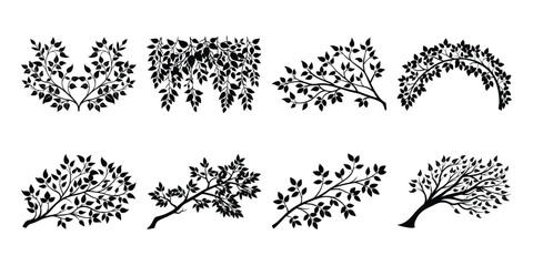 Silhouette of Tree Branch with leaf, Abstract black and white Tree Branch.