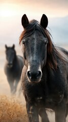 Majestic black horses stand in a field at dawn with fog gently enveloping the landscape