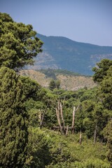 Obraz premium Scatti Vari