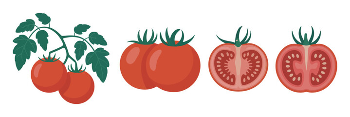 Illustration of Fresh Tomatoes in Various Forms Whole with Vine Whole and Halved Isolated on a White Background for Culinary and Agricultural Concepts